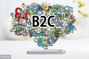 三个步骤教你成功地开展b2c电子商务