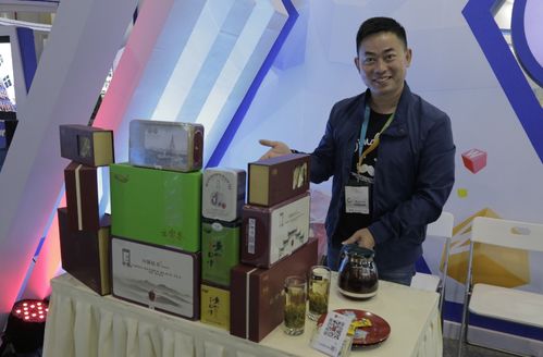 2016中国杭州国际电子商务博览会盛大开幕