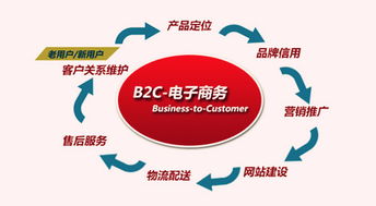 B2C电子商务的盈利模式探析