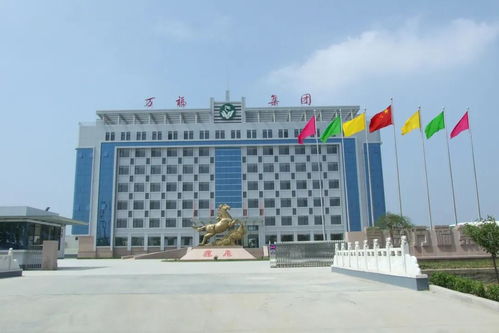恭喜 我市2家企业入选2020青岛市民企百强