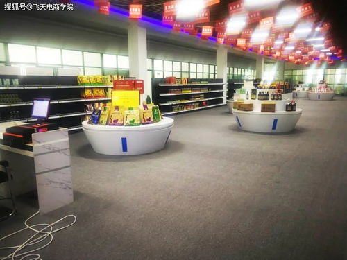 湟源城关镇玉珍唐卡店与大藏印象披肩店入驻电子商务孵化园，助推本地产业升级