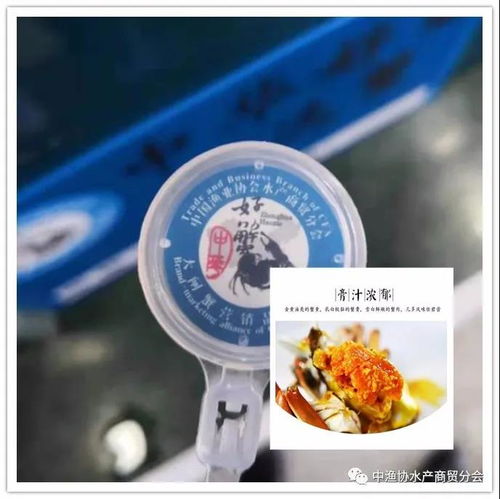携手共赢，探索水产电商新篇章 中国渔业协会水产商贸分会应邀考察苏州蟹多多电子商务