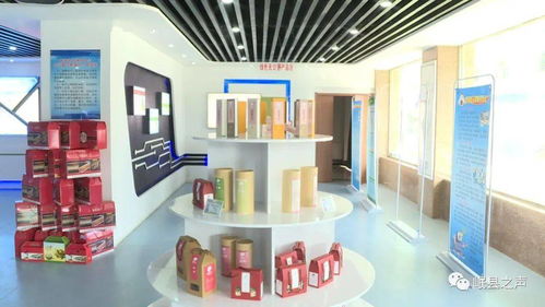 2020年岷县电子商务 2.99亿元销售额背后的发展图景