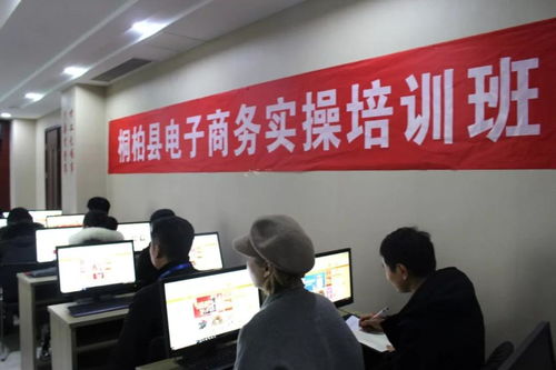 桐柏县举办电子商务进农村实操技能提升班，赋能乡村振兴新引擎